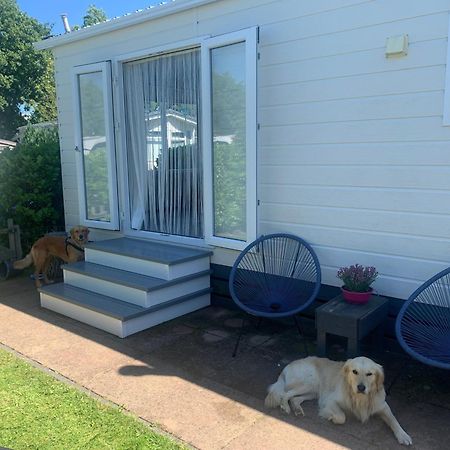 N 9Strandnahes, Hunde-Familienfreundliches Ferienhaus Callantsoog Exterior photo