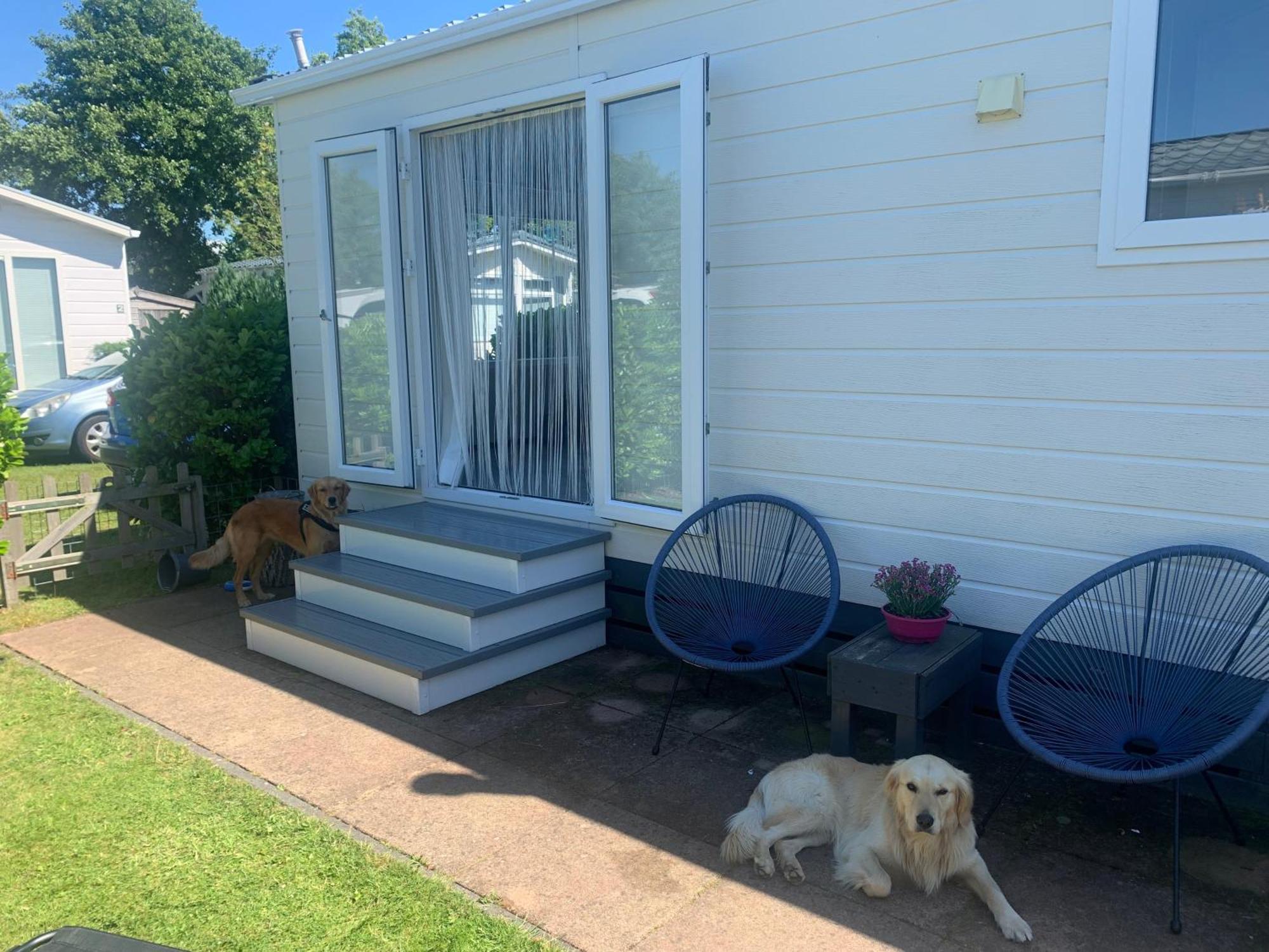 N 9Strandnahes, Hunde-Familienfreundliches Ferienhaus Callantsoog Exterior photo
